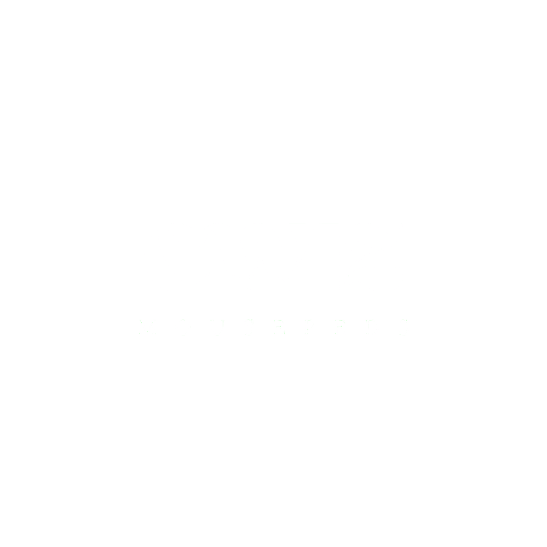 CwizPeds לוגו