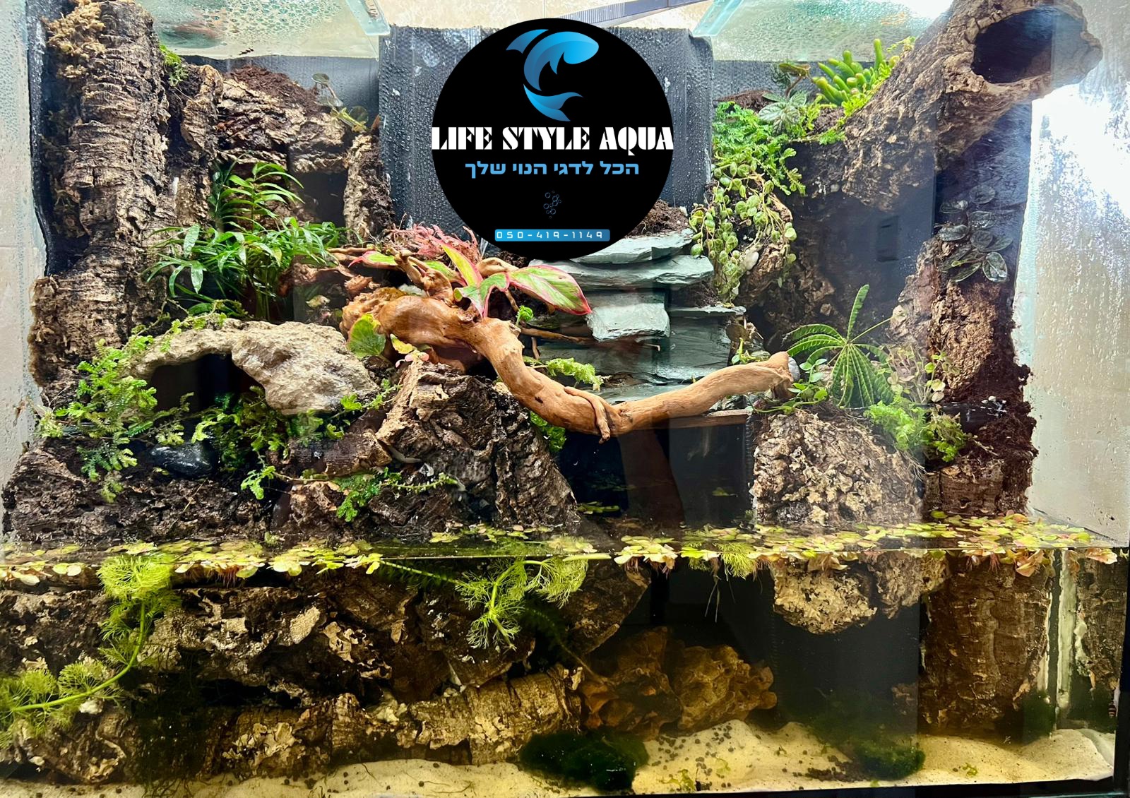 גלריה 4 - Life Style Aqua