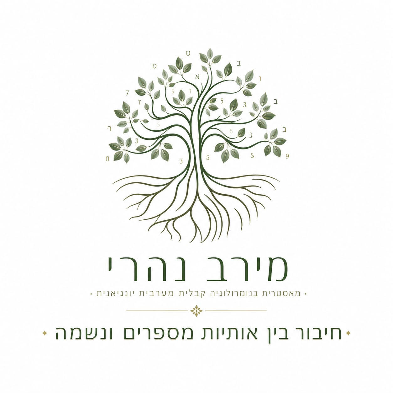 מירב נהרי - מאסטרית בנומרולוגיה